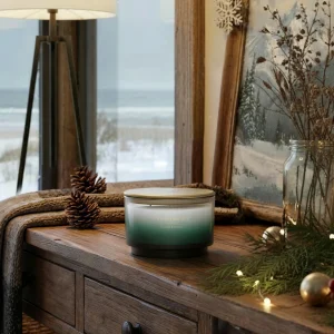 Coastal Snowfall Chesapeake Bay 3 Wick Candle