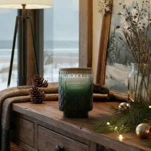 Coastal Snowfall Chesapeake Bay Medium Candle